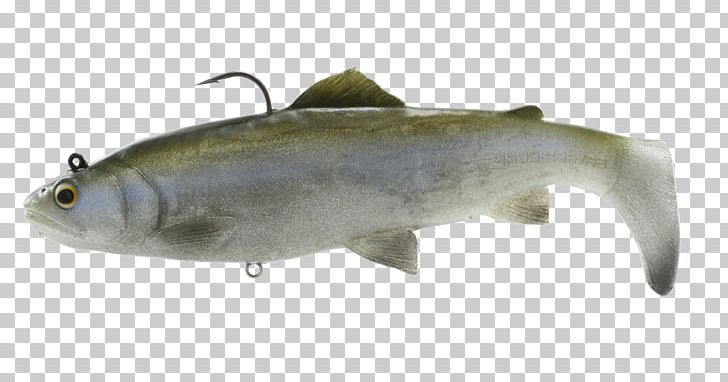 Plug Sardine Swimbait Fishing Baits & Lures Rainbow Trout PNG, Clipart, Bait, Bass Fishing, Bony Fish, Brown Trout, Catfish Free PNG Download