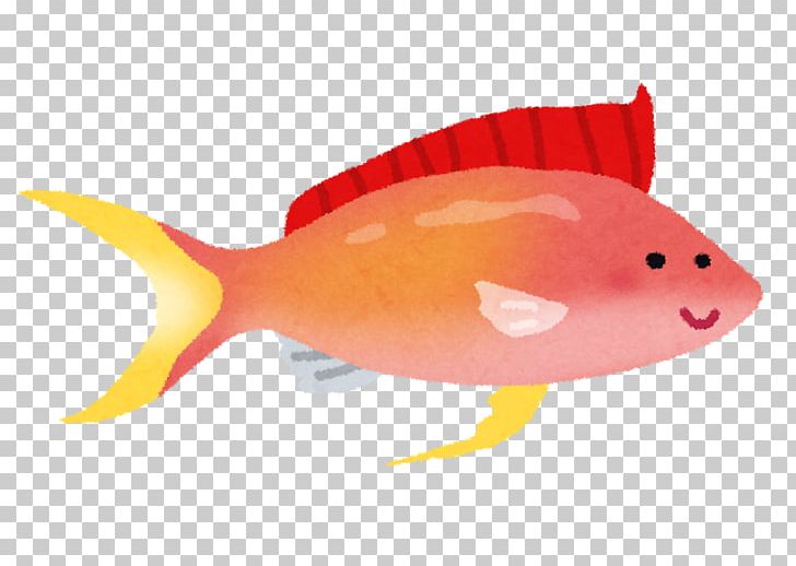 いらすとや Fish Orange Animal PNG, Clipart, Animal, Animal Figure, Banquet, Body, Character Free PNG Download