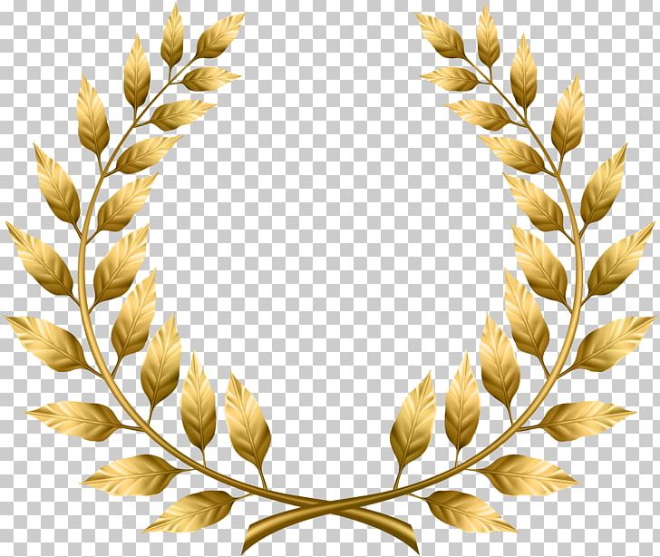 Laurel Wreath Bay Laurel PNG, Clipart, Bay Laurel, Branch, Commodity, Computer Icons, Crown Free PNG Download