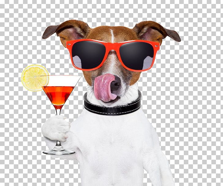 Sun Drink Red Wine Dog PNG, Clipart, Abstract, Bar, Beach, Birthday, Cocktail Free PNG Download