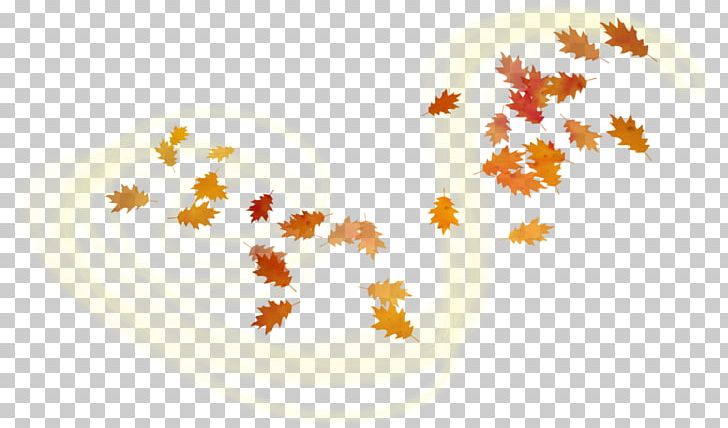 Leaf PNG, Clipart, Autumn, Clip Art, Digital Image, Leaf, Maple Leaf Free PNG Download