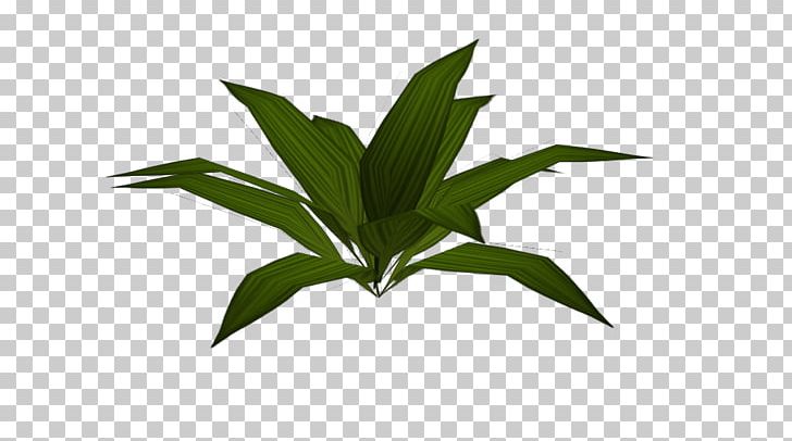 Leaf Plant Stem PNG, Clipart, Flowerpot, Grass, Leaf, Plant, Plant Stem Free PNG Download
