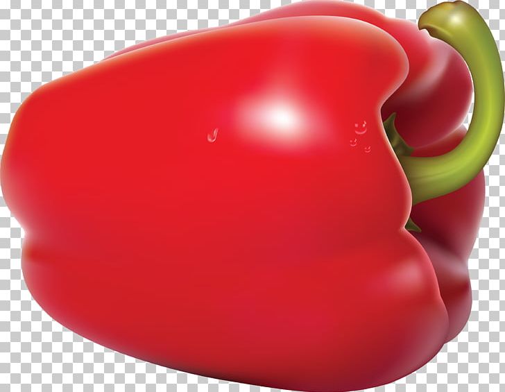 Pepper PNG, Clipart, Pepper Free PNG Download