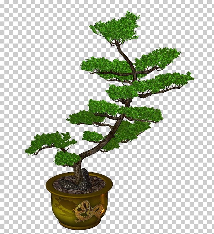 Sageretia Theezans Flowerpot Ornamental Plant Tree PNG, Clipart, Bonsai, Flower, Flowerpot, Houseplant, Nature Free PNG Download