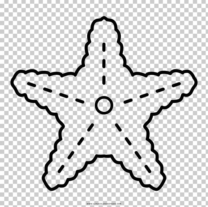 Starfish Drawing Coloring Book Sea PNG, Clipart, Angle, Animals, Area, Ausmalbild, Black And White Free PNG Download