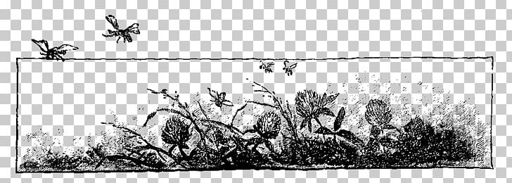Mammal Line Art Drawing Grasses Cartoon PNG, Clipart, Artwork, Black And White, Border, Botanical Border, Cartoon Free PNG Download