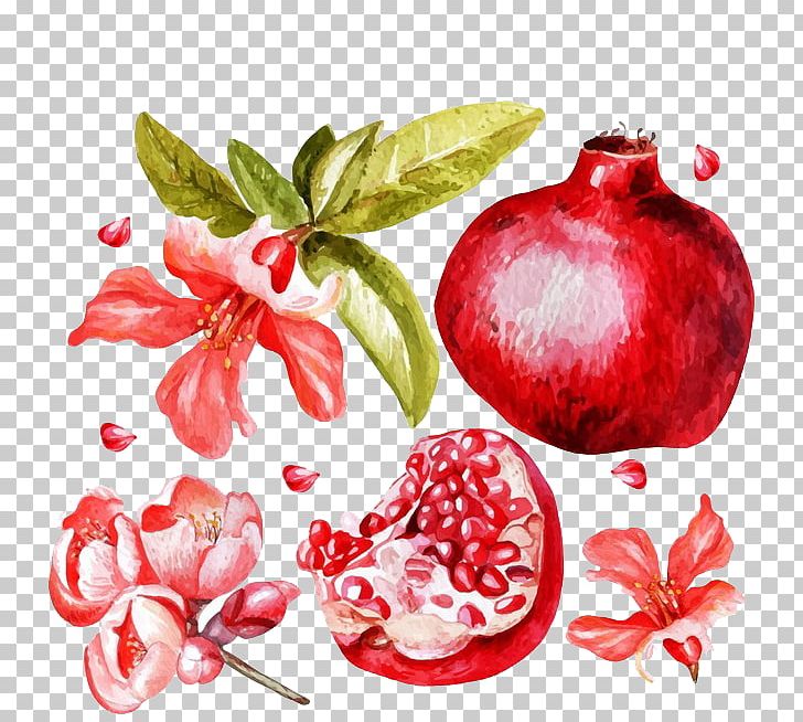 Pomegranate Juice Flower Fruit PNG, Clipart, Bright, Drawing, Flowers, Food, Fruit Nut Free PNG Download