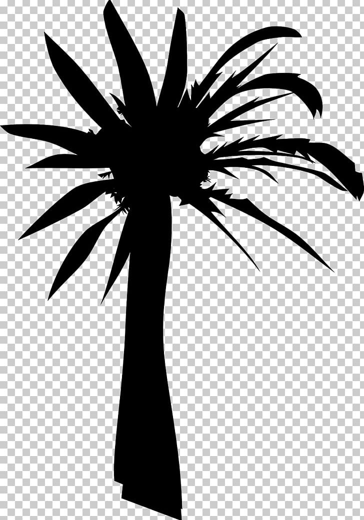 Arecaceae Tree Drawing PNG, Clipart, African Oil Palm, Arecaceae, Arecales, Asian Palmyra Palm, Black And White Free PNG Download