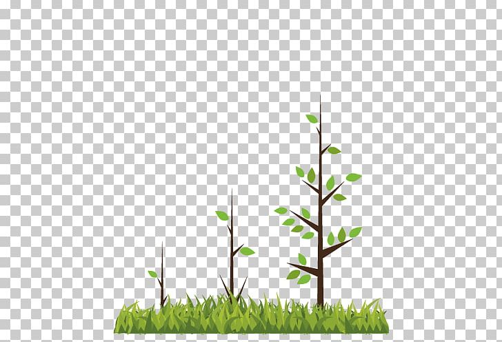 Branch Human Development Tree Plant PNG, Clipart, Arboles, Birth, Branch, Bud, Child Free PNG Download