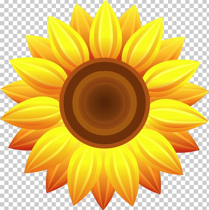 Common Sunflower Painting PNG, Clipart, Agriculture, Agriculture Logo, Art, Cada, Closeup Free PNG Download