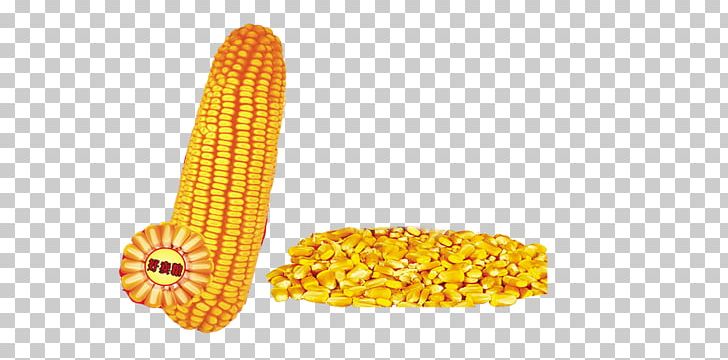 Corn On The Cob Maize Corn Kernel Sweet Corn PNG, Clipart, Autumn, Autumn Harvest, Cartoon Corn, Commodity, Corn Free PNG Download