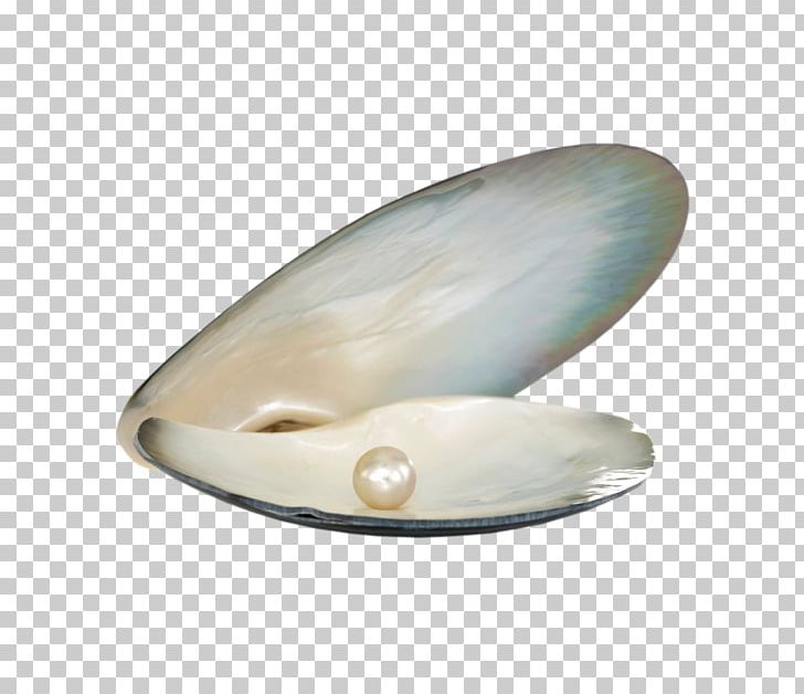 Pearl Seashell Lekker Laren Oyster PNG, Clipart, Animals, Art, Birthstone, Conch, Fotolia Free PNG Download