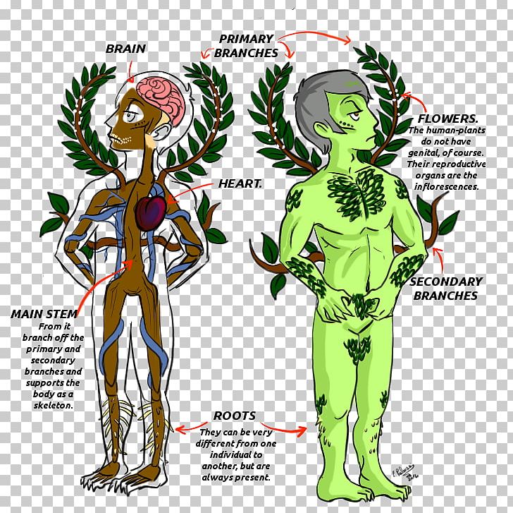 Plant Anatomy Plant Anatomy Homo Sapiens Selaginella Lepidophylla PNG, Clipart, Anatomy, Botany, Cadaver, Cartoon, Celebrities Free PNG Download