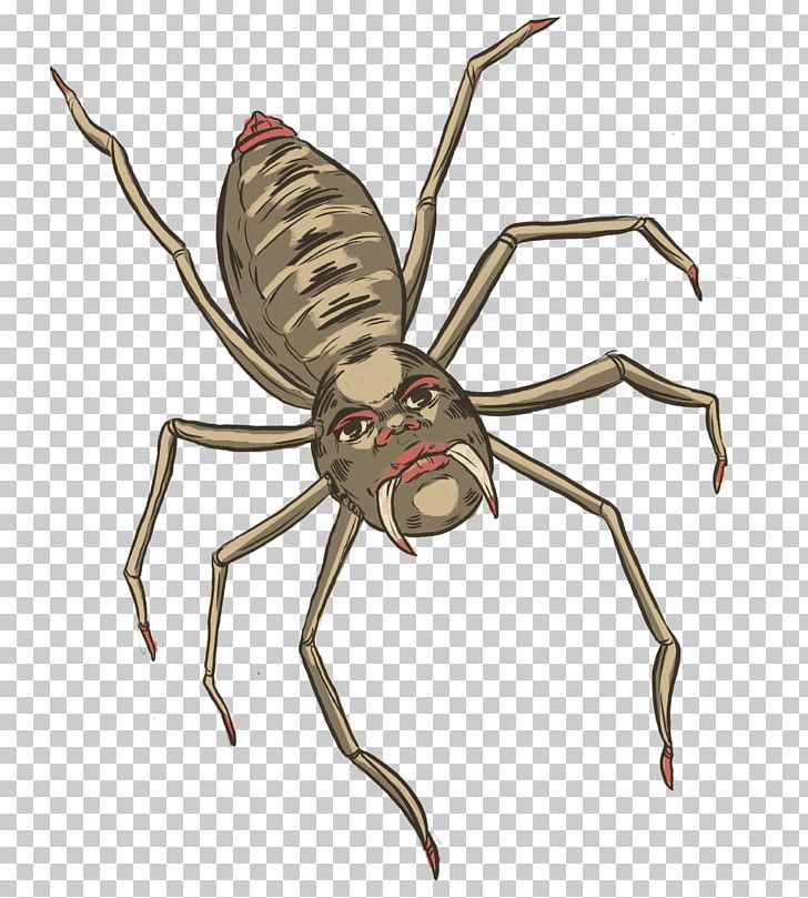 Weevil Insect Arachnid Spider-Man Pest PNG, Clipart, Arachnid, Arthropod, Insect, Invertebrate, Membrane Winged Insect Free PNG Download