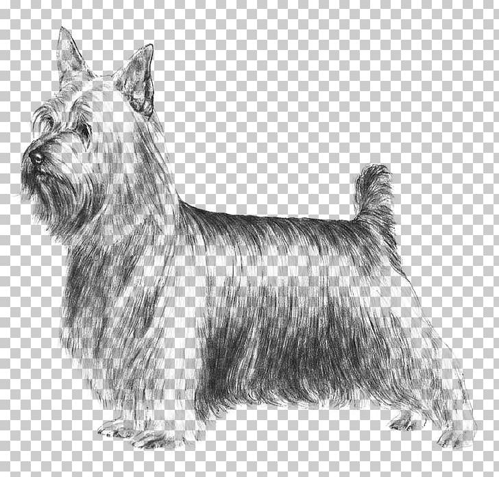 Australian Silky Terrier Yorkshire Terrier Skye Terrier Boston Terrier Staffordshire Bull Terrier PNG, Clipart, Bull Terrier, Carnivoran, Companion Dog, Dog Breed, Dog Breed Group Free PNG Download
