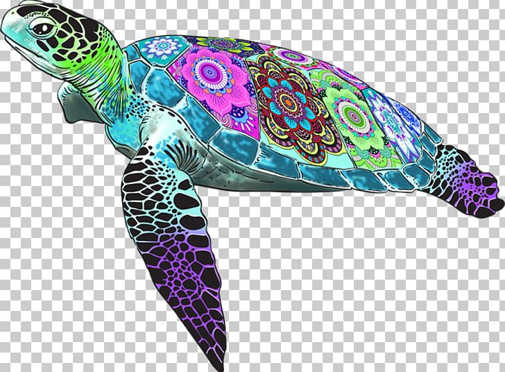 Loggerhead Sea Turtle Blob Farley A Grand Quest Binary Large Object PNG, Clipart,  Free PNG Download