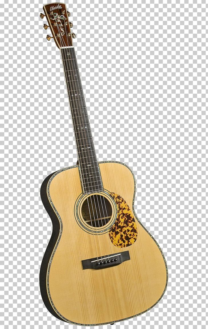 Steel-string Acoustic Guitar Musical Instruments Cutaway PNG, Clipart, Acoustic Electric Guitar, Cuatro, Cutaway, Guitar Accessory, Musical Instruments Free PNG Download