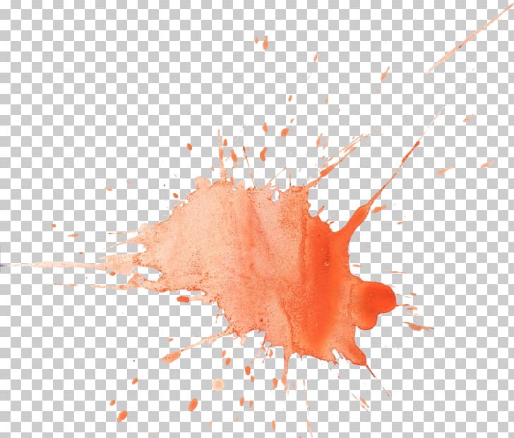 Watercolor Painting Photography PNG, Clipart, Art Museum, Closeup, Computer Wallpaper, Miscellaneous, Orange Free PNG Download