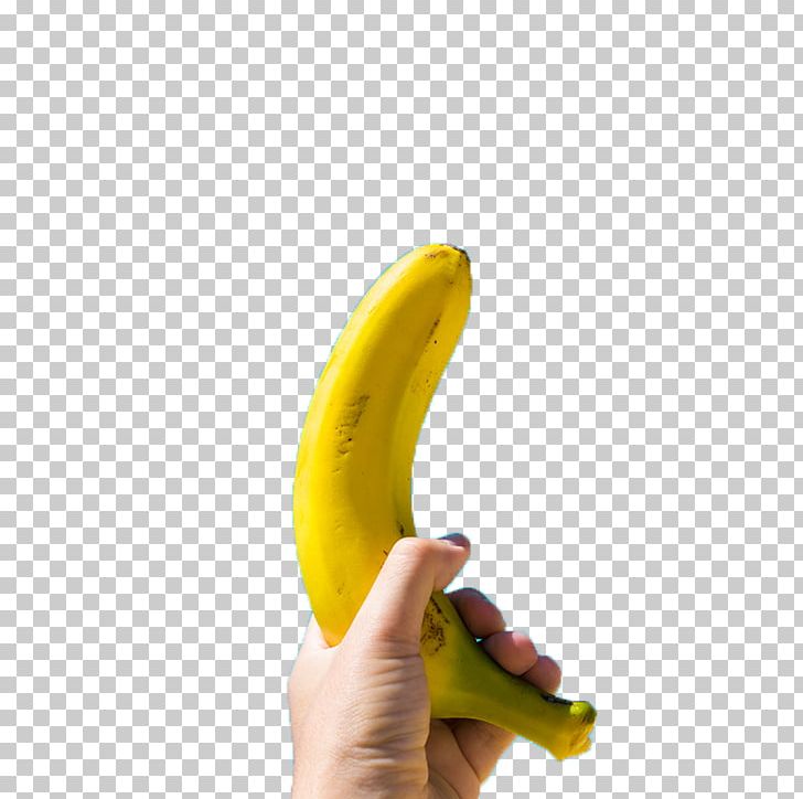 Banana Peel Auglis Computer File PNG, Clipart, Auglis, Banana, Banana Family, Banana Leaf, Banana Leaves Free PNG Download