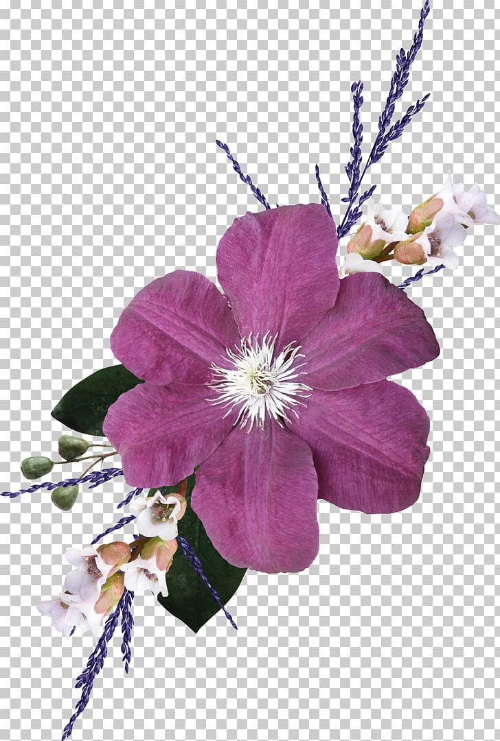 Cut Flowers Ornament Blume Petal PNG, Clipart, Apricot, Art, Blossom, Blume, Cadichon Free PNG Download