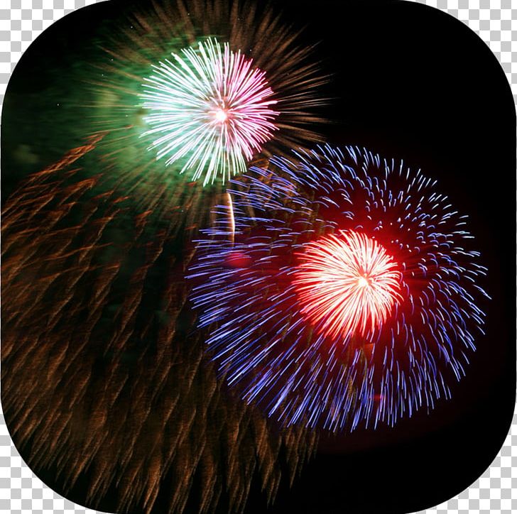 Fireworks Tokyo Bay Photography PNG, Clipart, Apk, Artificier, Bay, Chain, Drawing Free PNG Download