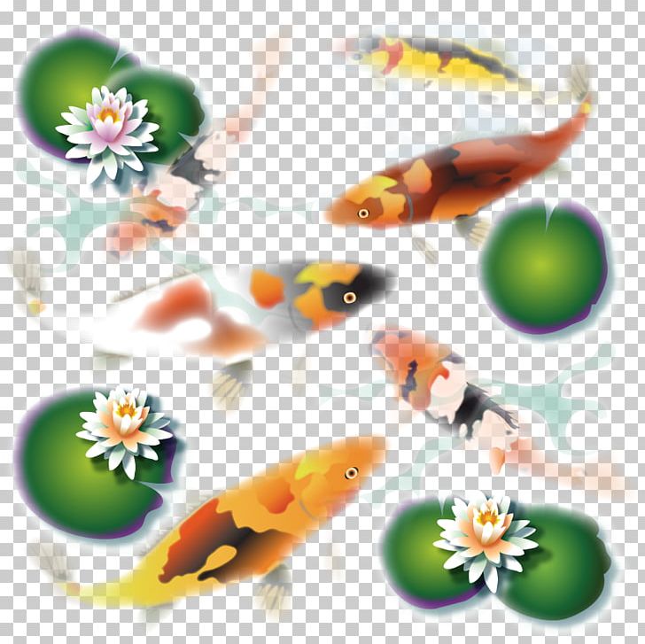 Fish .cf PNG, Clipart, Animals, Fish, Koi, Orange, Organism Free PNG Download