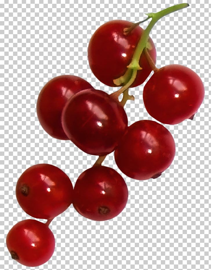 Gooseberry Zante Currant Lingonberry Cranberry PNG, Clipart, Acerola Family, Berry, Blackcurrant, Cherry, Cranberry Free PNG Download