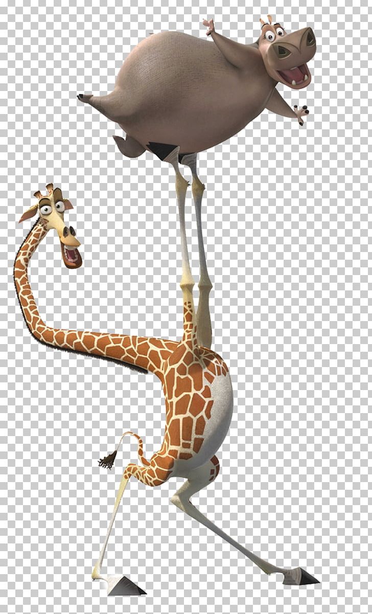 Melman Gloria Alex Marty Madagascar PNG, Clipart, Alex, Animation, Cartoon, Drawing, Dreamworks Animation Free PNG Download