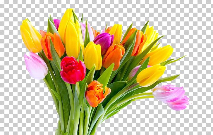 Mothers Day Tulip Flower Bouquet PNG, Clipart, Artificial Flower, Beautiful, Carnation, Child, Colored Free PNG Download