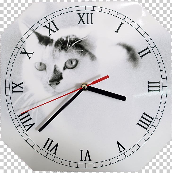Clock Face Digital Clock Roman Numerals Watch PNG, Clipart, Alarm Clocks, Cat, Cat Like Mammal, Clock, Clock Face Free PNG Download
