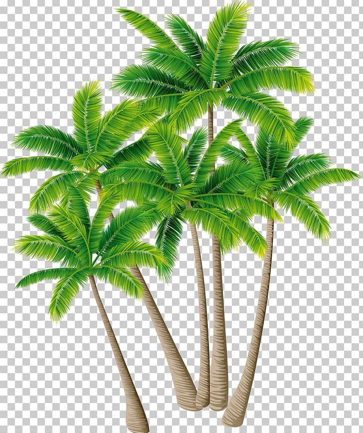Coconut Tree Arecaceae PNG, Clipart, Arecales, Christmas Tree, Coconut, Coconut Tree Vector, Encapsulated Postscript Free PNG Download