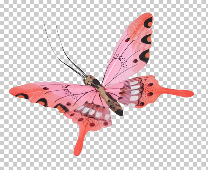 Monarch Butterfly Insect PNG, Clipart, 2017, Animal, Animals, Brush Footed Butterfly, Butter Free PNG Download