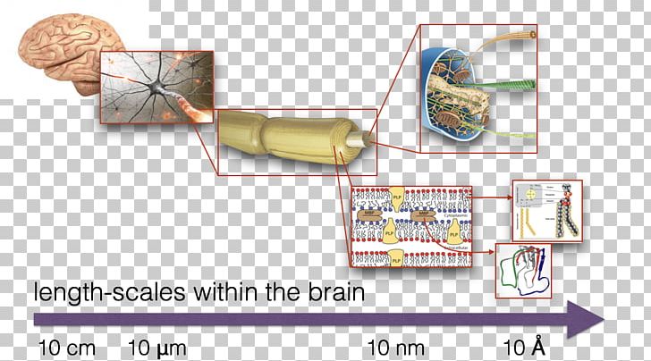 Small-angle X-ray Scattering Length Scale Nanometer X-ray Scattering Techniques PNG, Clipart, Angle, Biology, Biotechnology, Laboratory, Length Free PNG Download