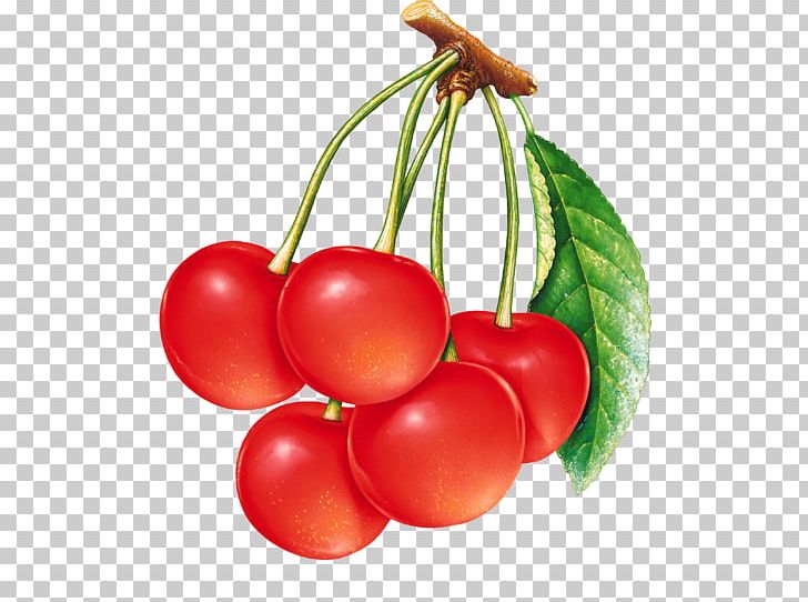 Sour Cherry Berry PNG, Clipart, Berry, Blueberry, Bush Tomato, Cherry, Cherry Blossom Free PNG Download