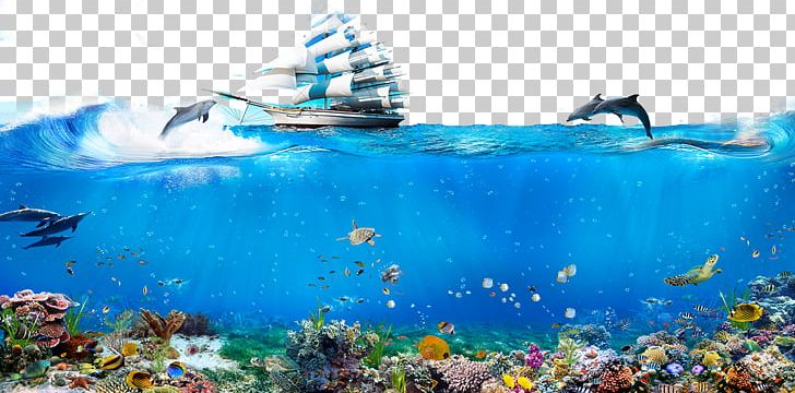 Underwater World PNG, Clipart, Around The World, Computer Wallpaper, Marine Biology, Marine Mammal, Ocean Free PNG Download