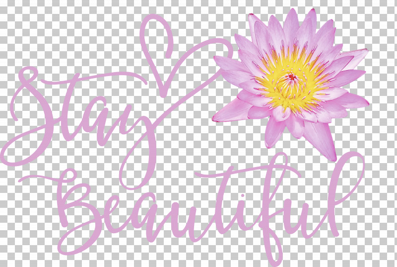 Stay Beautiful Fashion PNG, Clipart, Cdr, Cricut, Fashion, Stay Beautiful Free PNG Download