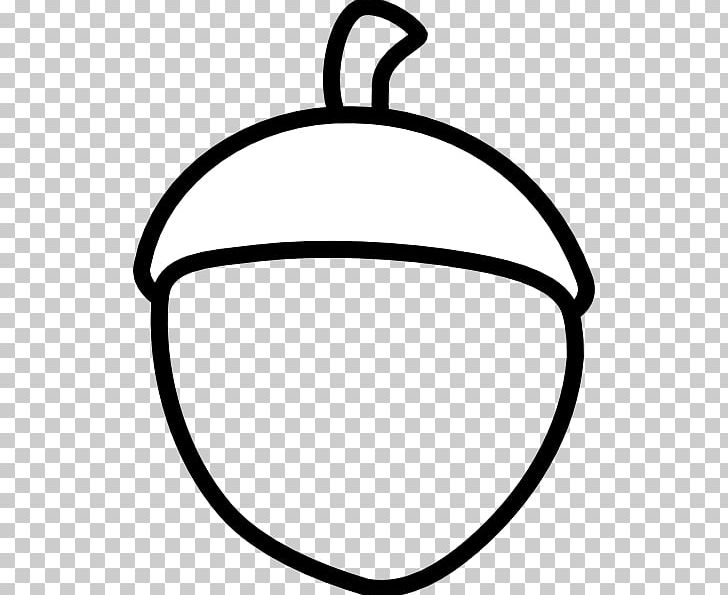 Acorn Drawing PNG, Clipart, Acorn, Artwork, Black, Black And White, Circle Free PNG Download