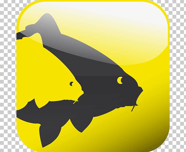 Carp Fishing Angling Avid PNG, Clipart, Angling, Avid, Bait, Beak, Captive Free PNG Download