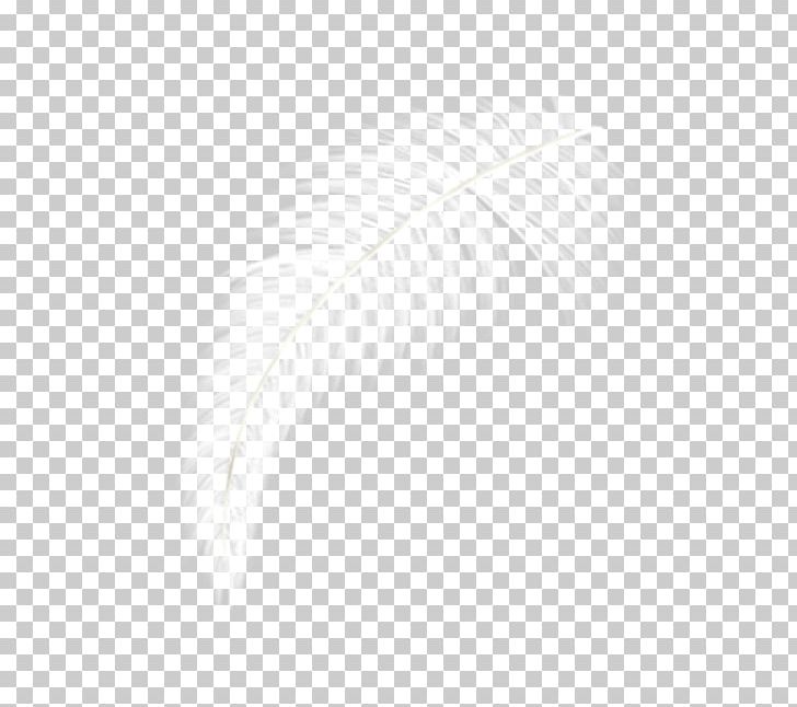 Computer Graphics PNG, Clipart, Angle, Animals, Background White, Bird, Black And White Free PNG Download