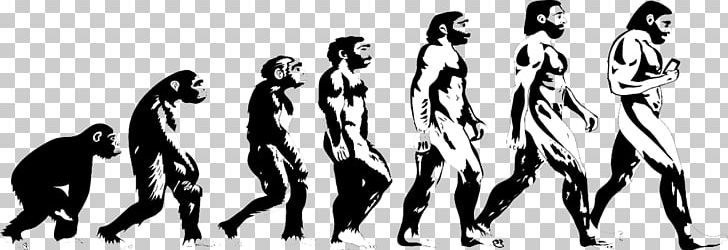 Homo Sapiens Human Evolution Great Apes Primate PNG, Clipart, Adhesive, Ape, Art, Black And White, Bumper Sticker Free PNG Download
