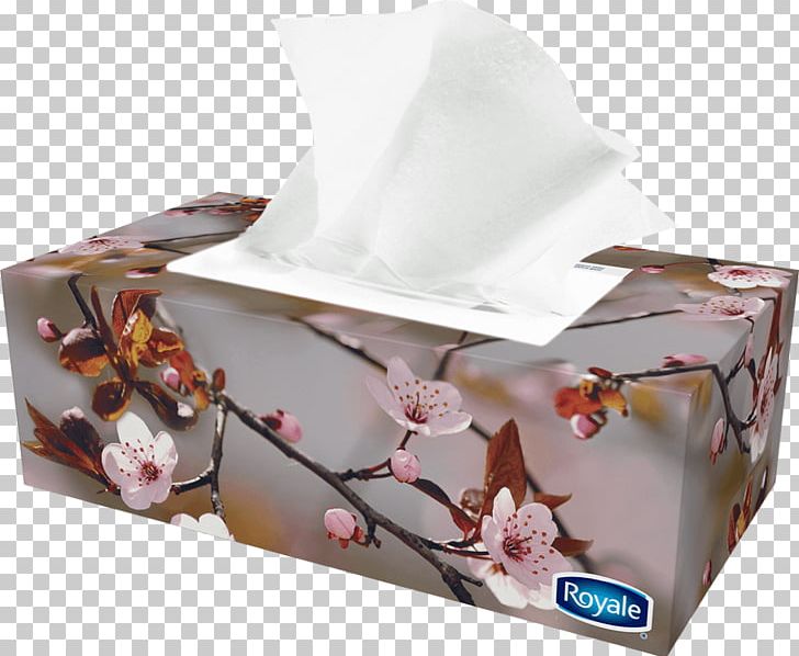 Tissue Paper Box Facial Tissues Royale PNG, Clipart, Box, Carton, Facial Tissues, Flower, Gift Free PNG Download