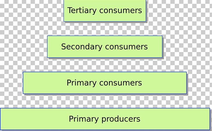 Trophic Level Ecological Pyramid Food Chain Biomass Ecology Png Trophic Level Ecological Pyramid Food Chain Biomass Ecology Png
