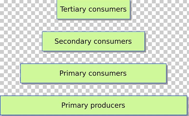 Trophic Level Ecological Pyramid Food Chain Biomass Ecology PNG, Clipart, Angle, Area, Biomass, Brand, Consumer Free PNG Download