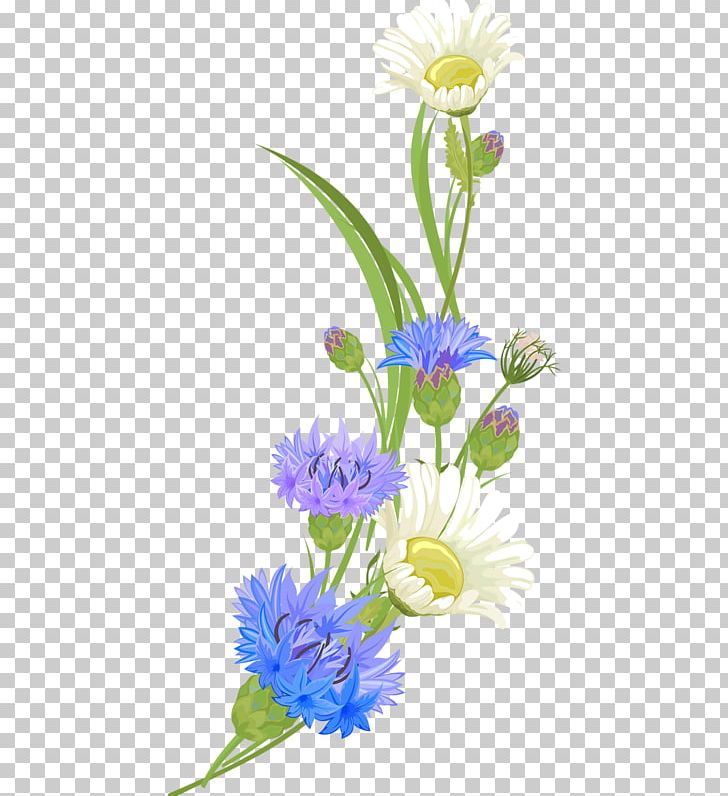 Chrysanthemum Indicum PNG, Clipart, Art, Aster, Daisy Family, Encapsulated Postscript, Flower Free PNG Download