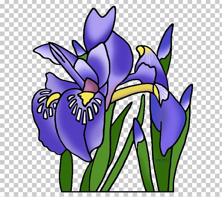 Louisiana Irises Tennessee PNG, Clipart, Artwork, Cut Flowers, Flora, Floral Design, Floristry Free PNG Download