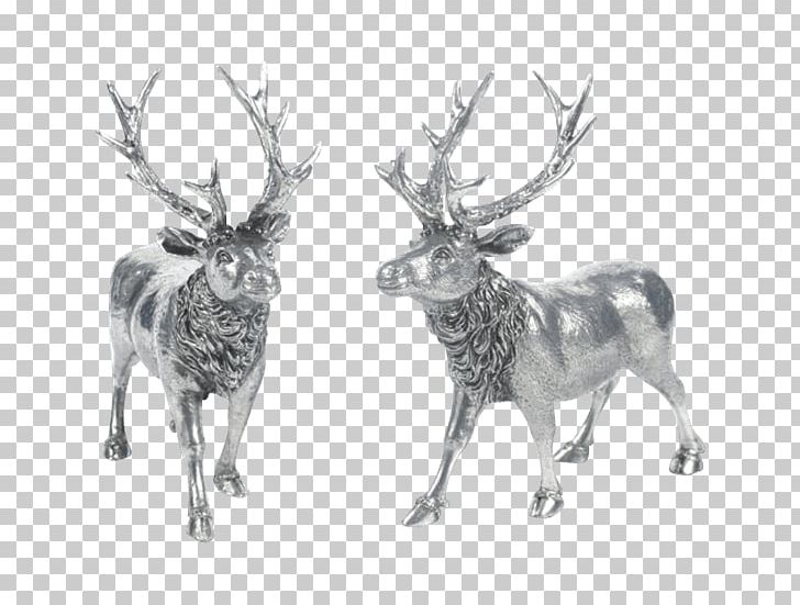 Reindeer Elk Antler Fauna Vagabond House PNG, Clipart, Antler, Black And White, Cartoon, Christmas Elk, Deer Free PNG Download