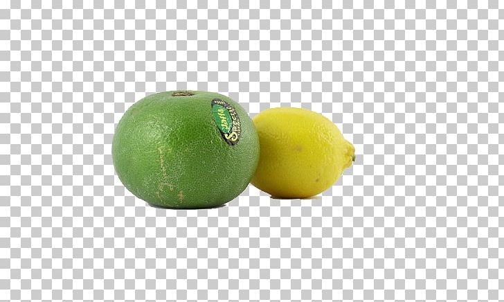 Persian Lime Lemon Key Lime Citron PNG, Clipart, Acid, Citric Acid, Citron, Citrus, Food Free PNG Download