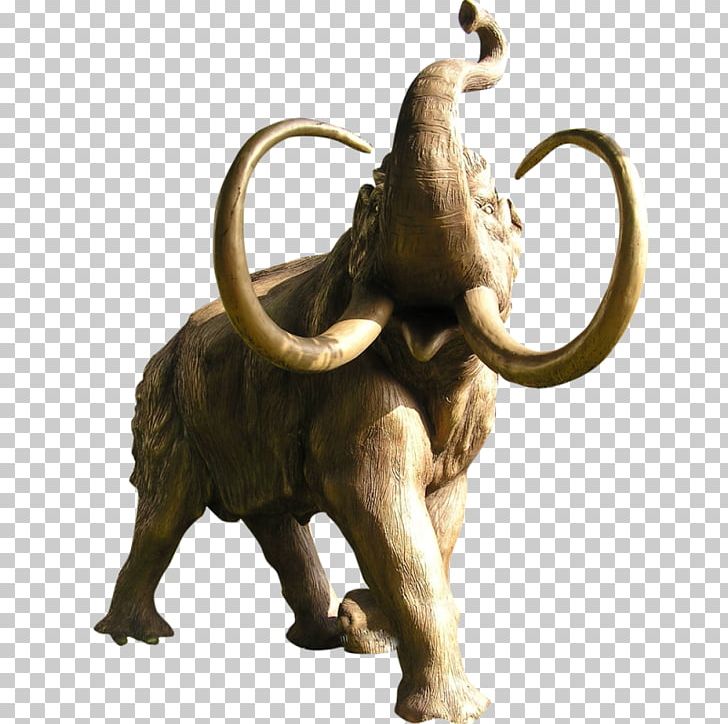 African Elephant Photography PNG, Clipart, African Elephant, Age, Animal, Animals, Elephant Free PNG Download