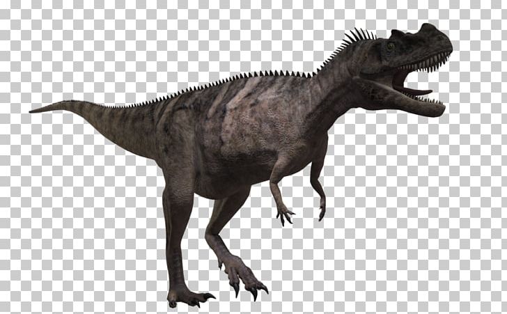 Ceratosaurus Carnotaurus Tyrannosaurus Allosaurus Dinosaur PNG, Clipart, Allosaurus, Animal Figure, Carnivore, Carnotaurus, Ceratosaurus Free PNG Download