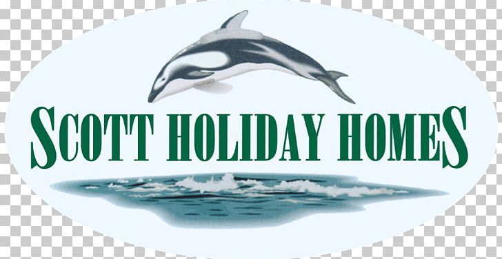 Common Bottlenose Dolphin Logo Brand Water PNG, Clipart, Advertising, Animals, Bottlenose Dolphin, Brand, Common Bottlenose Dolphin Free PNG Download